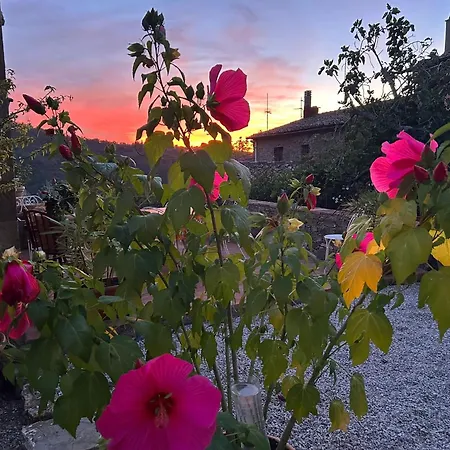 Charming Tuscan With Pool 2 To 5 Persons Lamole Apartamento Greve in Chianti