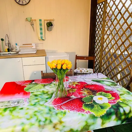 Charming Tuscan With Pool 2 To 5 Persons Lamole Greve in Chianti