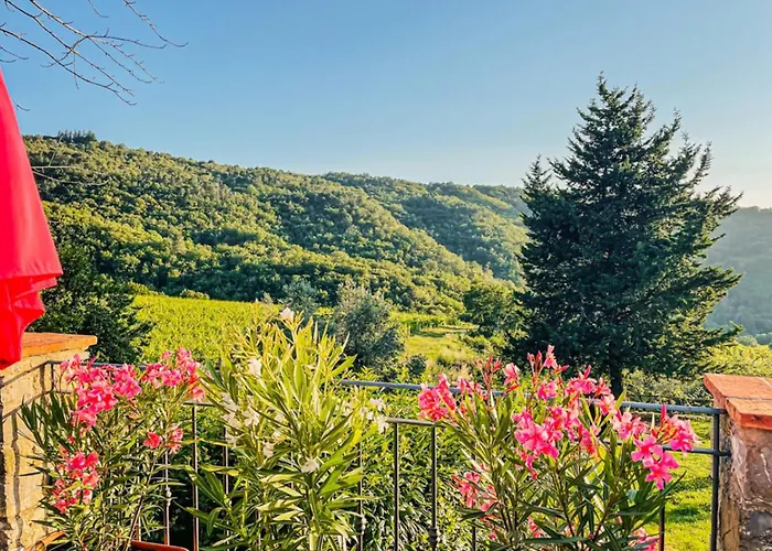 Apartamento Charming Tuscan With Pool 2 To 5 Persons Lamole Greve in Chianti
