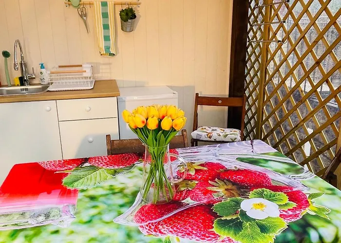 Charming Tuscan With Pool 2 To 5 Persons Lamole Greve in Chianti